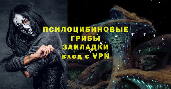 PSILOCYBIN Арсеньев