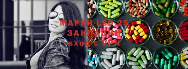 a pvp Аркадак